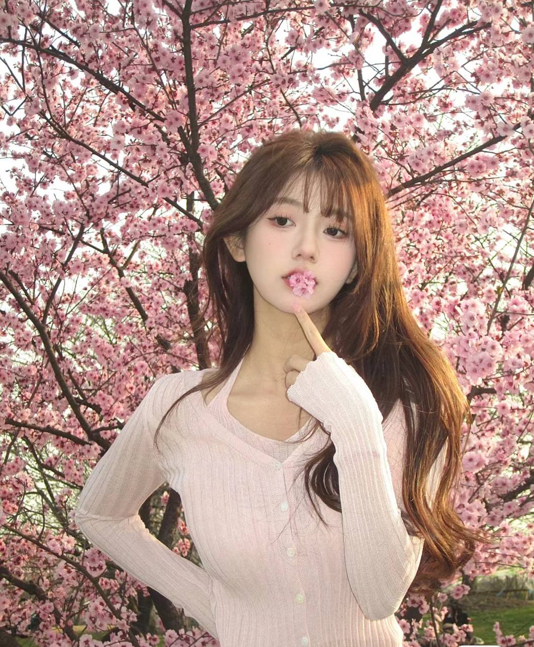 北京情感交流，北京绿茶，北京单身交友