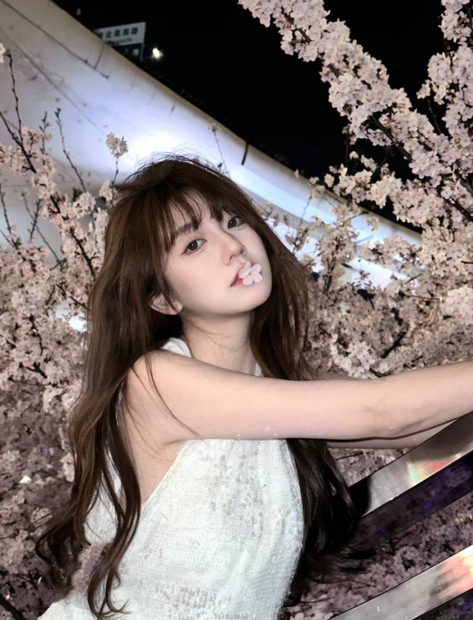 北京外围圈子，北京单身社交，北京名媛